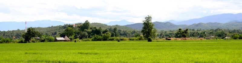 Green Thailand